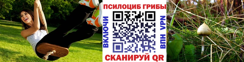 Псилоцибиновые грибы Psilocybe  Пенза 