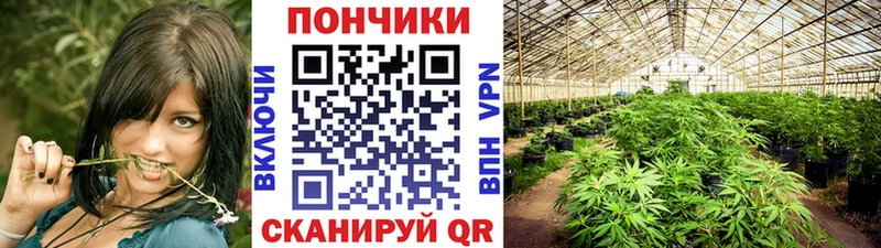 где купить наркоту  Пенза  Конопля план 