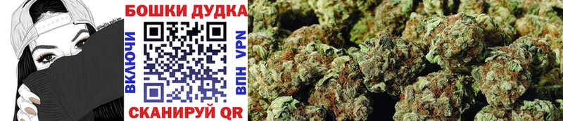 Каннабис планчик Пенза